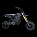 The "Rizzler BIke"  it gets hoes tho